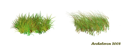 Photoshop Grass Brushes
