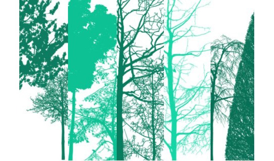 Free Photoshop Tree Brushes Free Photoshop Tree Brushes