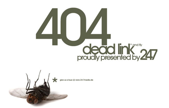 404 Error Page