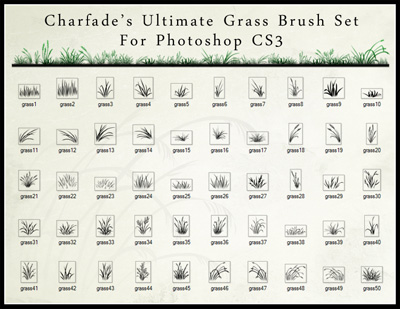 Photoshop Grass Brushes