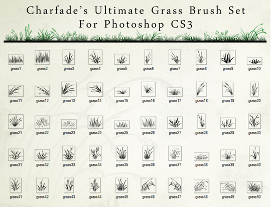 Free Photoshop Tree Brushes