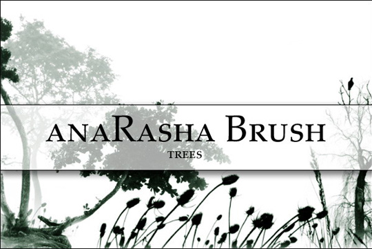 Free Photoshop Tree Brushes