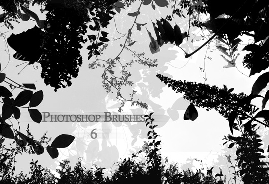 Free Photoshop Tree Brushes