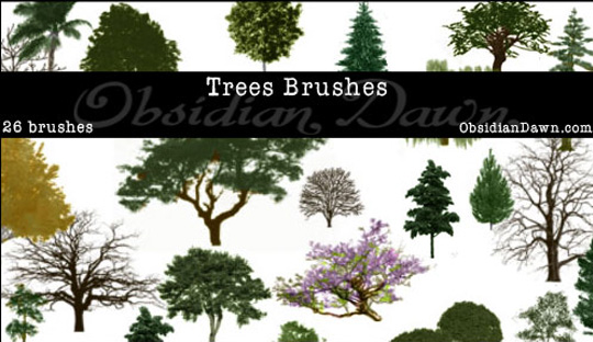 Free Photoshop Tree Brushes